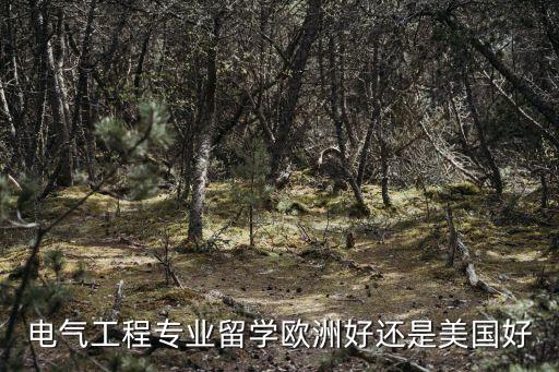 電氣工程專業(yè)留學(xué)歐洲好還是美國(guó)好