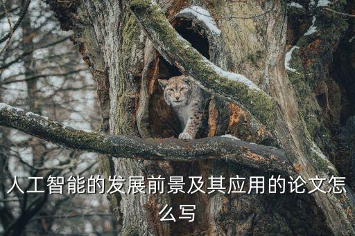 人工智能論文5000字怎么寫，人工智能的發(fā)展前景及其應(yīng)用的論文怎么寫
