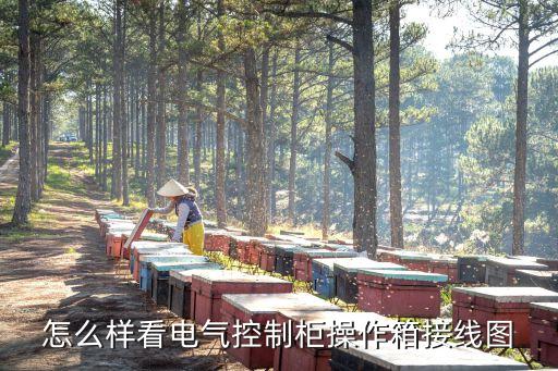 怎么樣看電氣控制柜操作箱接線(xiàn)圖