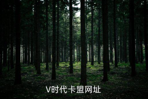 V時代卡盟網(wǎng)址
