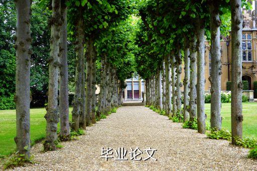 畢業(yè)論文
