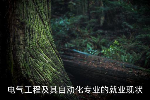 我國電氣工程及其自動化現(xiàn)狀，電氣工程及其自動化專業(yè)的就業(yè)現(xiàn)狀