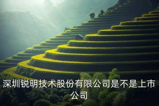 銳明技術股份有限公司，深圳銳明技術股份有限公司是不是上市公司