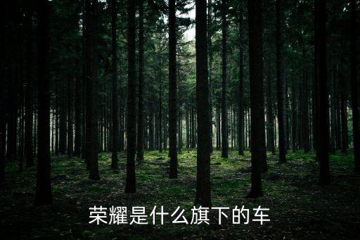 榮耀是什么旗下的車