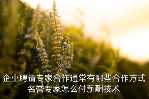 企業(yè)聘請(qǐng)專(zhuān)家合作通常有哪些合作方式名譽(yù)專(zhuān)家怎么付薪酬技術(shù)