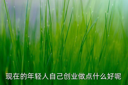 現(xiàn)在的年輕人自己創(chuàng)業(yè)做點(diǎn)什么好呢