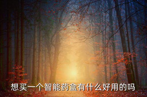 便攜式藥盒哪種好，藥盒放在哪里比較合適