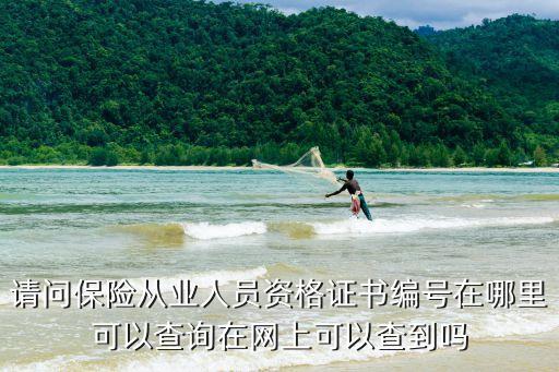 證書編號(hào)查詢網(wǎng)，請(qǐng)問保險(xiǎn)從業(yè)人員資格證書編號(hào)在哪里可以查詢?cè)诰W(wǎng)上可以查到嗎
