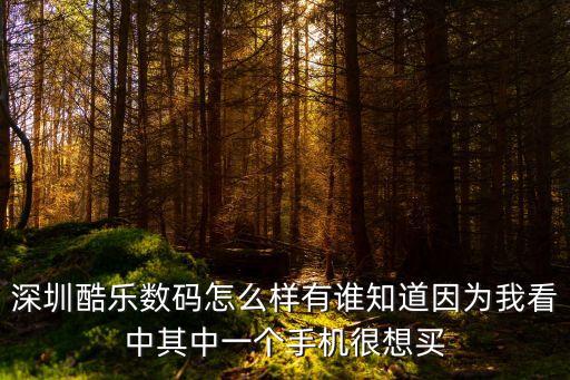 深圳酷樂電子有限公司，深圳福田區(qū)深南中路電子科技大廈A座11樓是什么公司