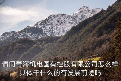 請問青海機(jī)電國有控股有限公司怎么樣具體干什么的有發(fā)展前途嗎