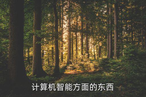 計算機智能方面的東西
