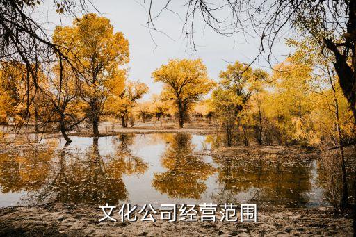 文化科技有限公司經(jīng)營范圍是什么，文化公司經(jīng)營范圍