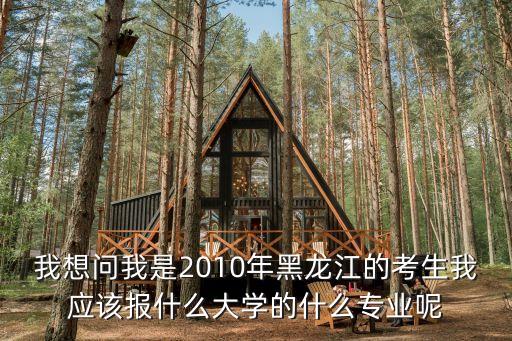 我想問我是2010年黑龍江的考生我應(yīng)該報(bào)什么大學(xué)的什么專業(yè)呢