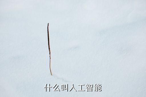 人工智能技術(shù)的定義和范疇，人工智能的定義是什么