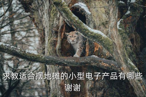 求教適合擺地?cái)偟男⌒碗娮赢a(chǎn)品有哪些謝謝