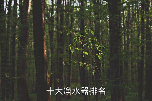 十大凈水器排名