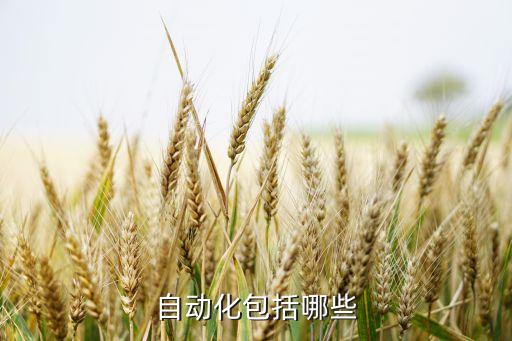 自動(dòng)化系統(tǒng)包括哪些，自動(dòng)化控制系統(tǒng) 都包含哪些