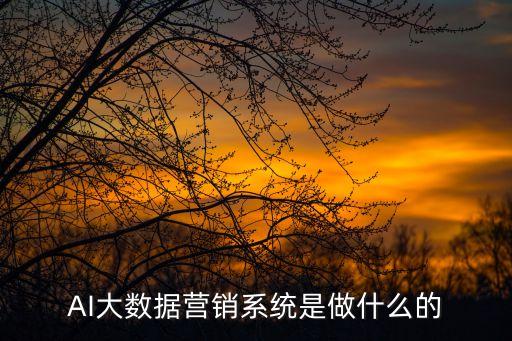 AI智能營(yíng)銷(xiāo)助力實(shí)體，AI大數(shù)據(jù)營(yíng)銷(xiāo)系統(tǒng)是做什么的
