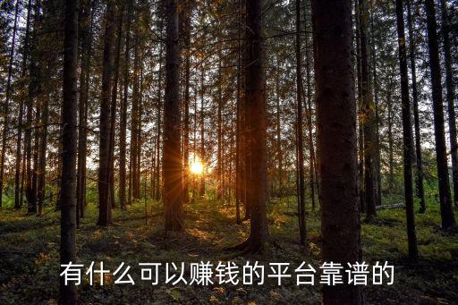 真正能賺錢的正規(guī)平臺，有哪些收益高又靠譜的平臺咧