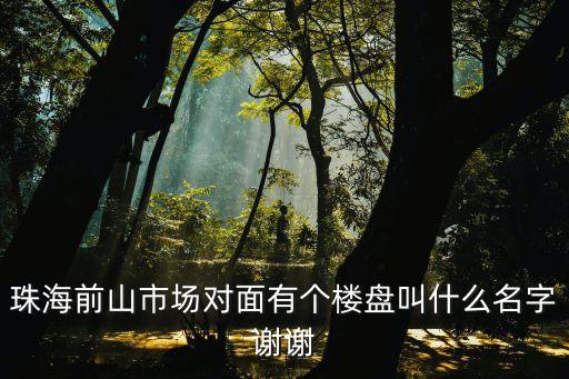珠海前山市場對面有個樓盤叫什么名字謝謝