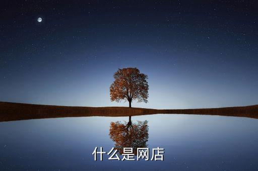 網店，什么是網店
