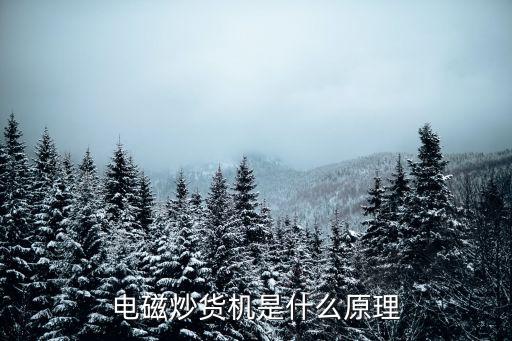 電磁炒貨機(jī)是什么原理