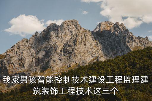 我家男孩智能控制技術(shù)建設(shè)工程監(jiān)理建筑裝飾工程技術(shù)這三個