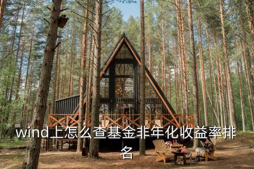 wind上怎么查基金非年化收益率排名