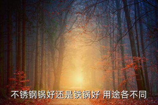 不銹鋼316炒鍋好還是鐵鍋好，不銹鋼鍋好還是鐵鍋好 用途各不同
