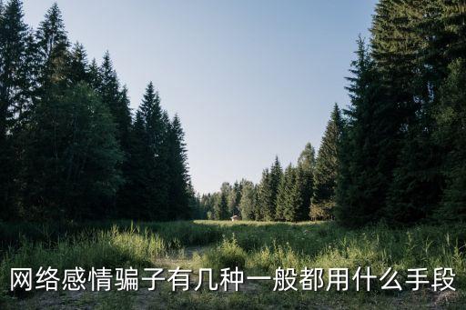 網(wǎng)絡(luò)感情騙子有幾種一般都用什么手段