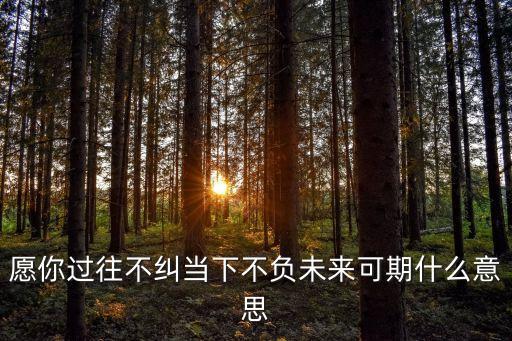 智領(lǐng)未來(lái)的意思，品信致遠(yuǎn) 智贏未來(lái)是什么意思