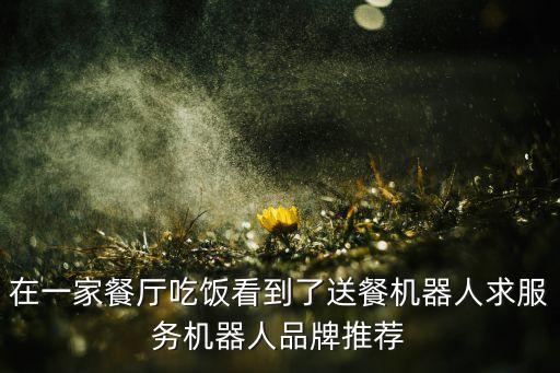 在一家餐廳吃飯看到了送餐機(jī)器人求服務(wù)機(jī)器人品牌推薦
