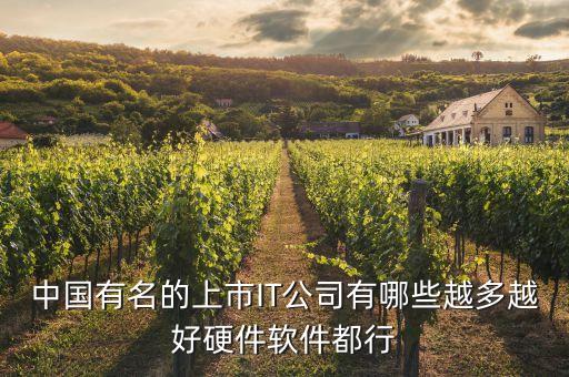 國(guó)內(nèi)人工智能上市企業(yè)排行，公司上市了嗎 國(guó)內(nèi)人工智能上市公司有哪些