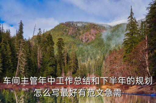 車間主管年中工作總結(jié)和下半年的規(guī)劃怎么寫最好有范文急需