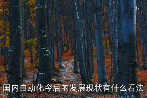 自動(dòng)化技術(shù)發(fā)展現(xiàn)狀，自動(dòng)化技術(shù)的應(yīng)用現(xiàn)狀