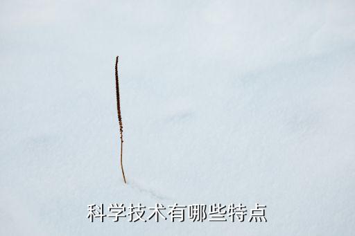 科學(xué)技術(shù)有哪些特點(diǎn)