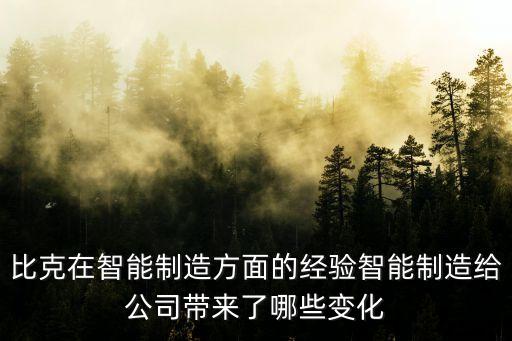 比克在智能制造方面的經(jīng)驗(yàn)智能制造給公司帶來了哪些變化