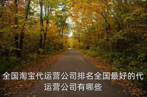 全國淘寶代運(yùn)營公司排名全國最好的代運(yùn)營公司有哪些