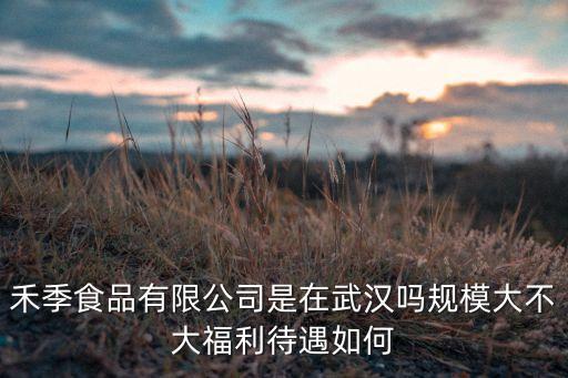 禾季食品有限公司是在武漢嗎規(guī)模大不大福利待遇如何