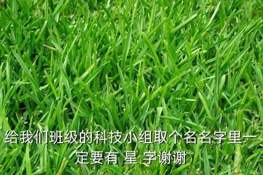 給我們班級(jí)的科技小組取個(gè)名名字里一定要有 星 字謝謝
