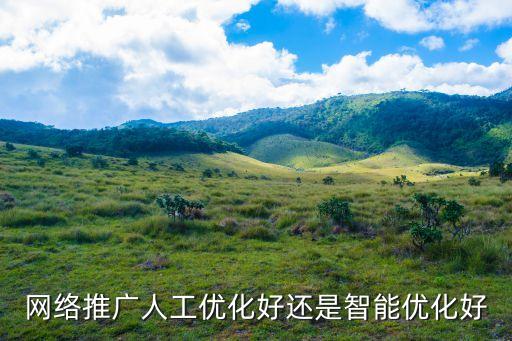 網(wǎng)絡(luò)推廣人工優(yōu)化好還是智能優(yōu)化好