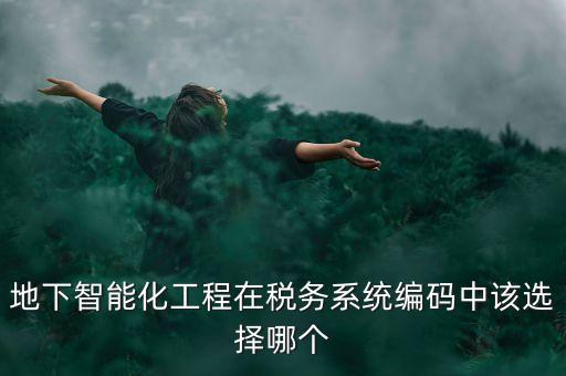 地下智能化工程在稅務(wù)系統(tǒng)編碼中該選擇哪個(gè)