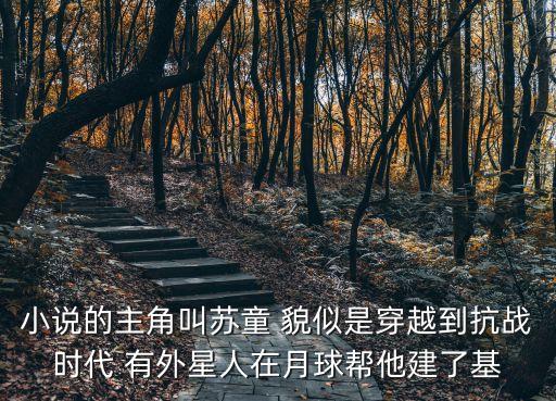 我的軍閥生涯蘇童，千斤頂的我的軍閥生涯精校txt