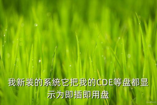 大國科技制霸全球從芯片開始，我新裝的系統(tǒng)它把我的CDE等盤都顯示為即插即用盤