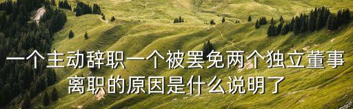 一個(gè)主動(dòng)辭職一個(gè)被罷免兩個(gè)獨(dú)立董事離職的原因是什么說明了