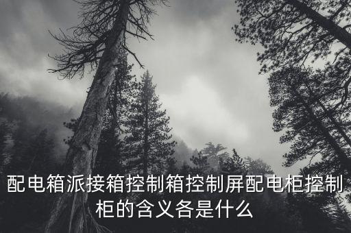 電柜控制箱，配電箱派接箱控制箱控制屏配電柜控制柜的含義各是什么