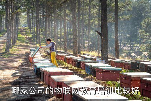 哪家公司的物聯(lián)網(wǎng)教育培訓(xùn)比較好