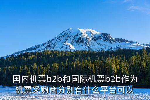 國(guó)內(nèi)機(jī)票b2b和國(guó)際機(jī)票b2b作為機(jī)票采購(gòu)商分別有什么平臺(tái)可以