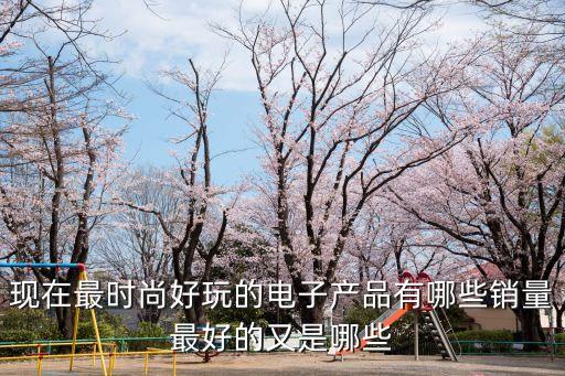 好玩的電子產品，友友們有哪些比較好玩的電子產品啊急求喔