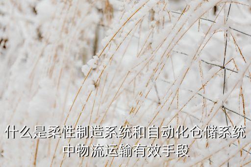 什么是制造的自動(dòng)化和柔性化，什么是柔性制造系統(tǒng)和自動(dòng)化倉儲(chǔ)系統(tǒng)中物流運(yùn)輸有效手段